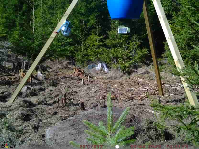 Bild från STORATRÄA