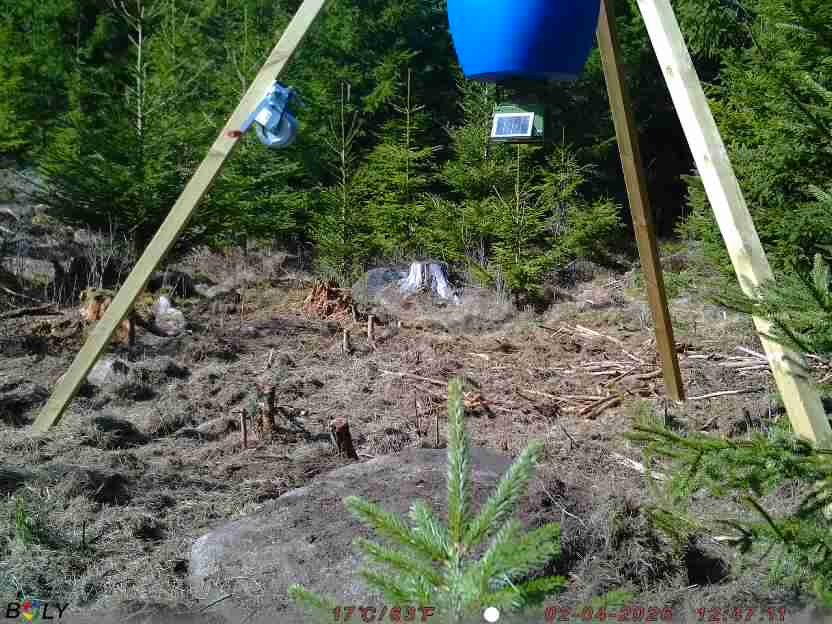 Bild från STORATRÄA