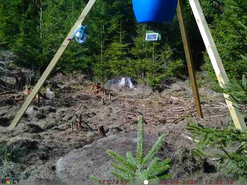 Bild från STORATRÄA