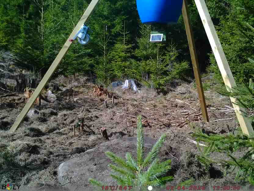 Bild från STORATRÄA