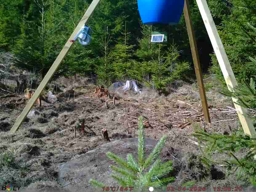 Bild från STORATRÄA