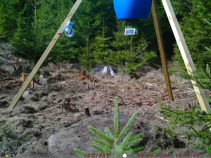 Bild från STORATRÄA