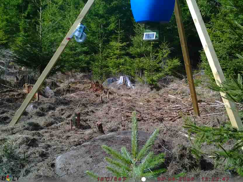 Bild från STORATRÄA