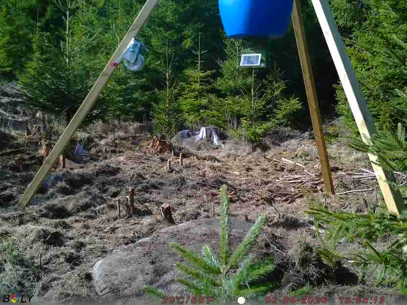 Bild från STORATRÄA