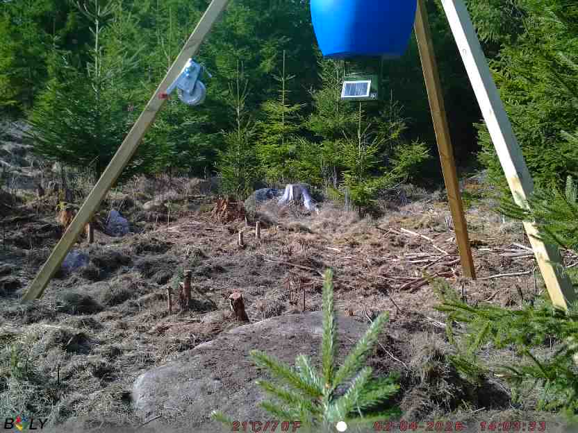 Bild från STORATRÄA