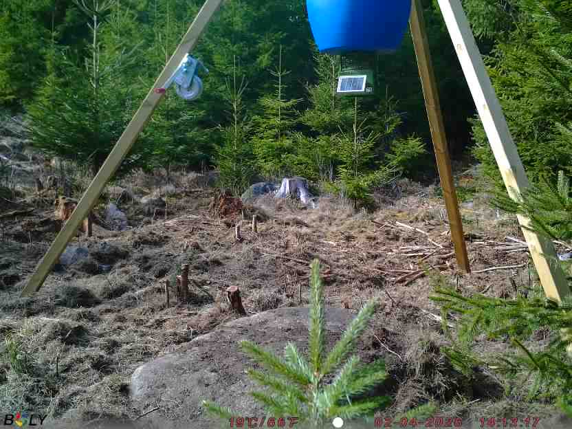 Bild från STORATRÄA