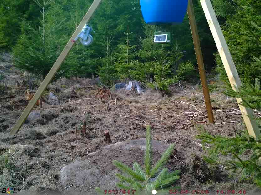 Bild från STORATRÄA