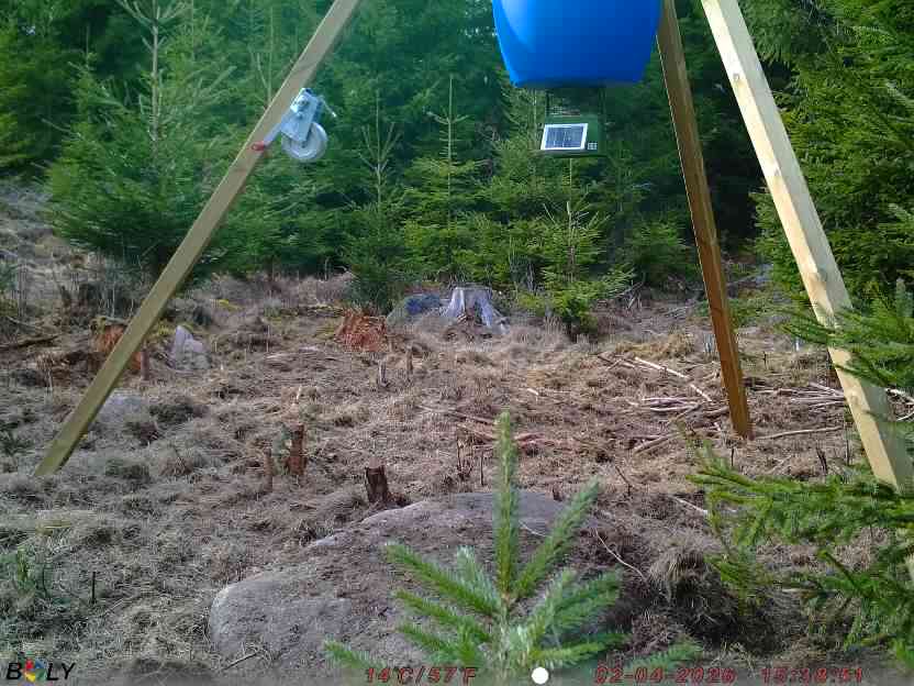 Bild från STORATRÄA