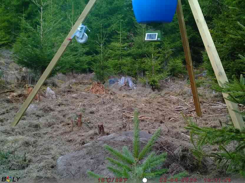 Bild från STORATRÄA