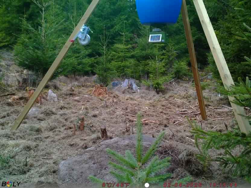 Bild från STORATRÄA