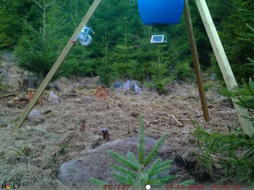 Bild från STORATRÄA