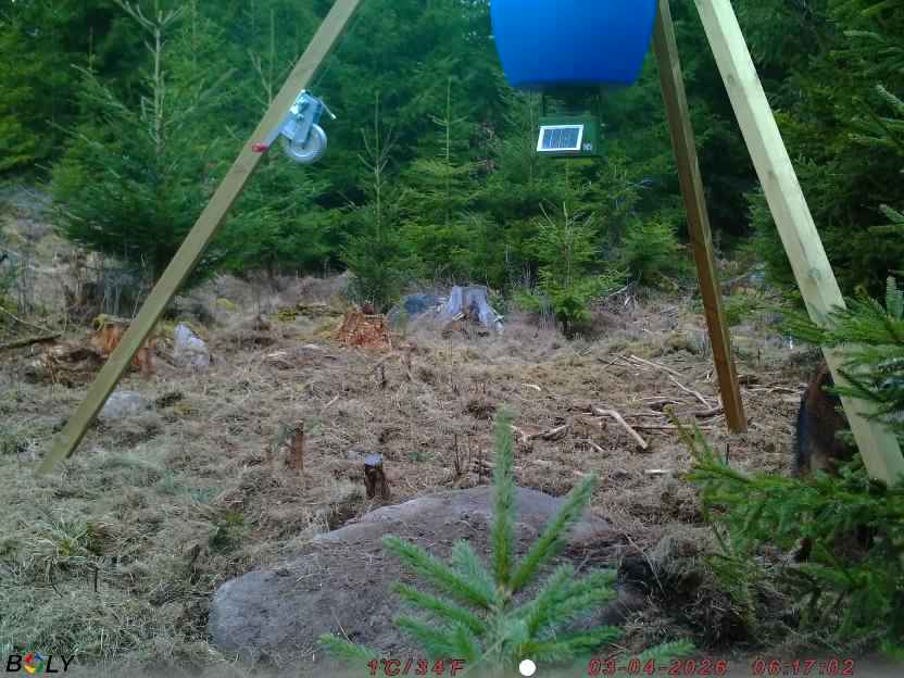 Bild från STORATRÄA