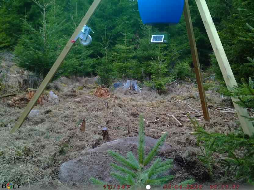 Bild från STORATRÄA