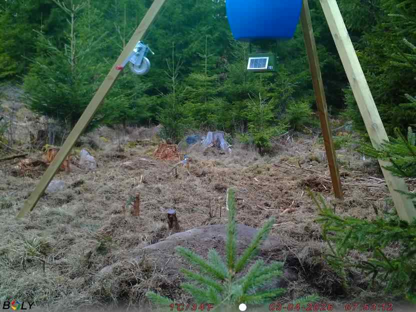 Bild från STORATRÄA