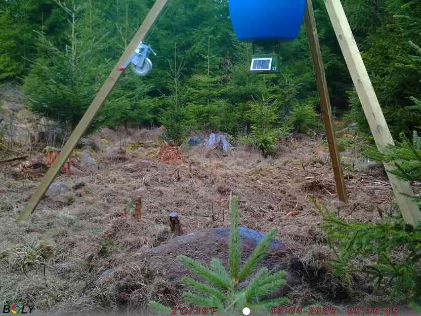 Bild från STORATRÄA