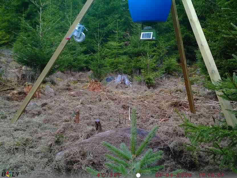 Bild från STORATRÄA