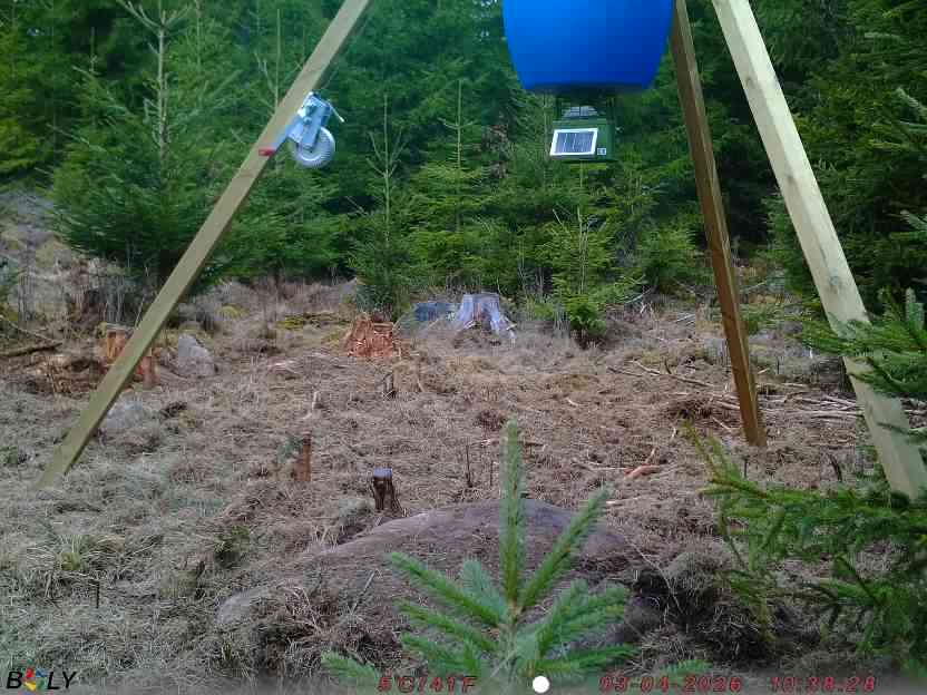 Bild från STORATRÄA