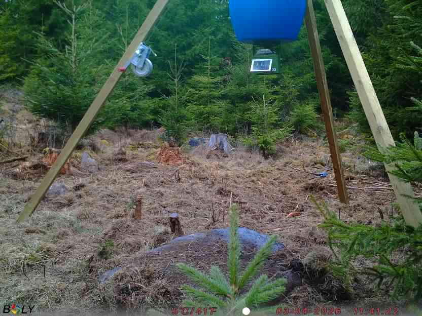 Bild från STORATRÄA