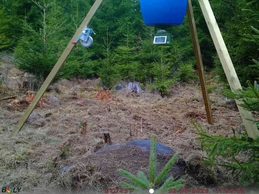 Bild från STORATRÄA