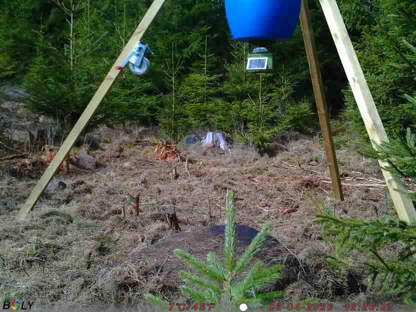 Bild från STORATRÄA