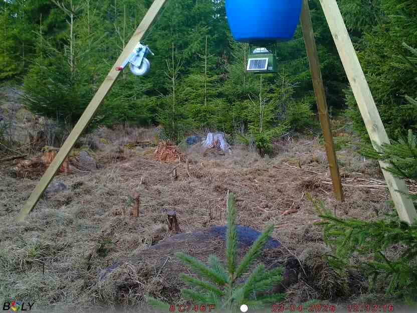 Bild från STORATRÄA