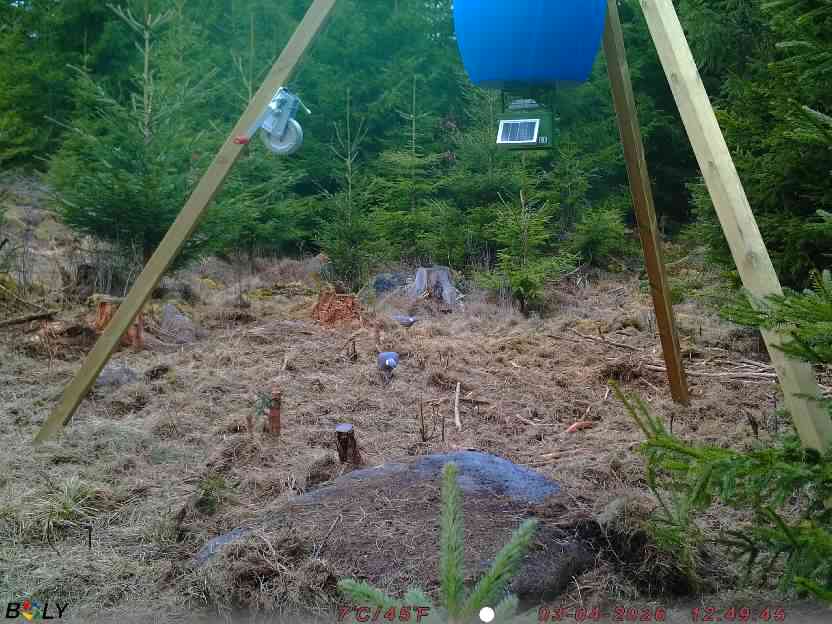 Bild från STORATRÄA