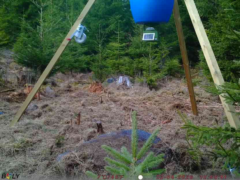 Bild från STORATRÄA