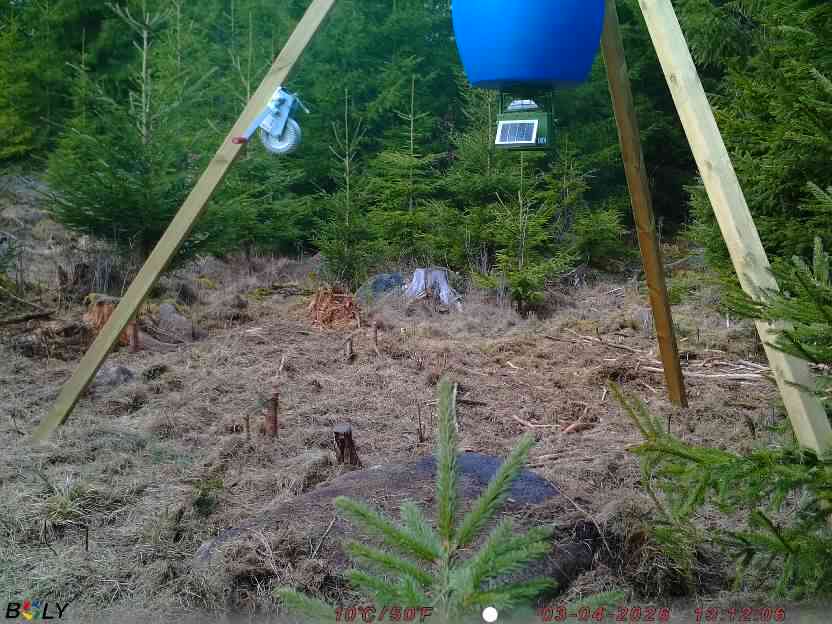 Bild från STORATRÄA