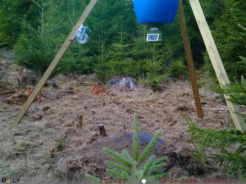 Bild från STORATRÄA