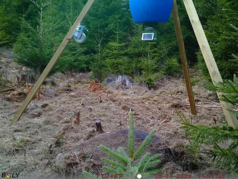 Bild från STORATRÄA