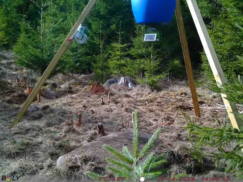 Bild från STORATRÄA