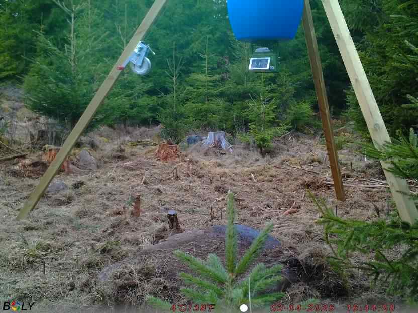 Bild från STORATRÄA