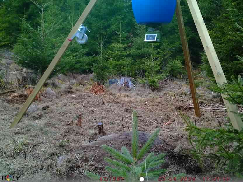 Bild från STORATRÄA