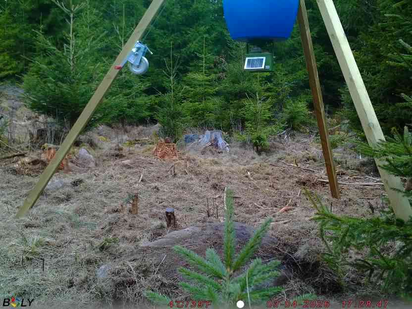 Bild från STORATRÄA