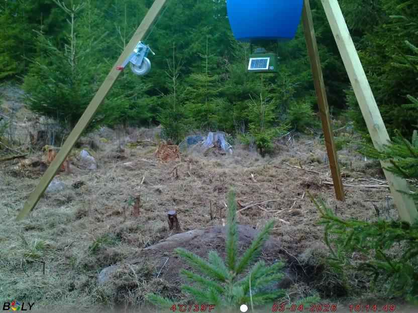 Bild från STORATRÄA