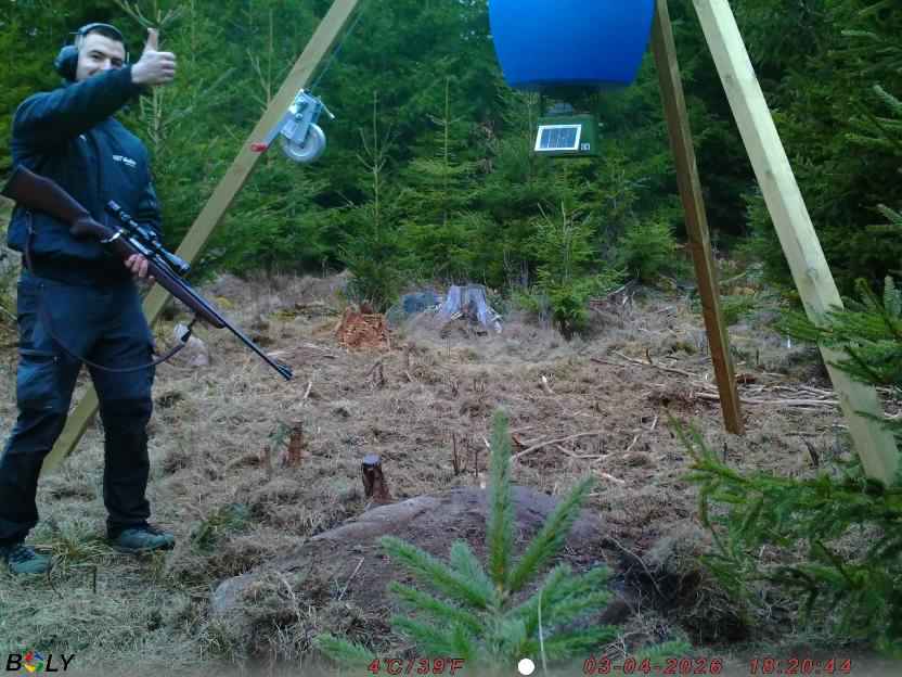 Bild från STORATRÄA