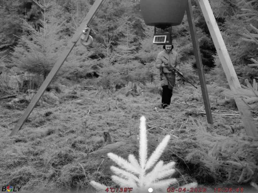 Bild från STORATRÄA