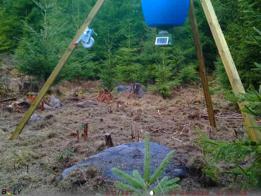 Bild från STORATRÄA