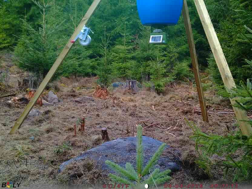 Bild från STORATRÄA