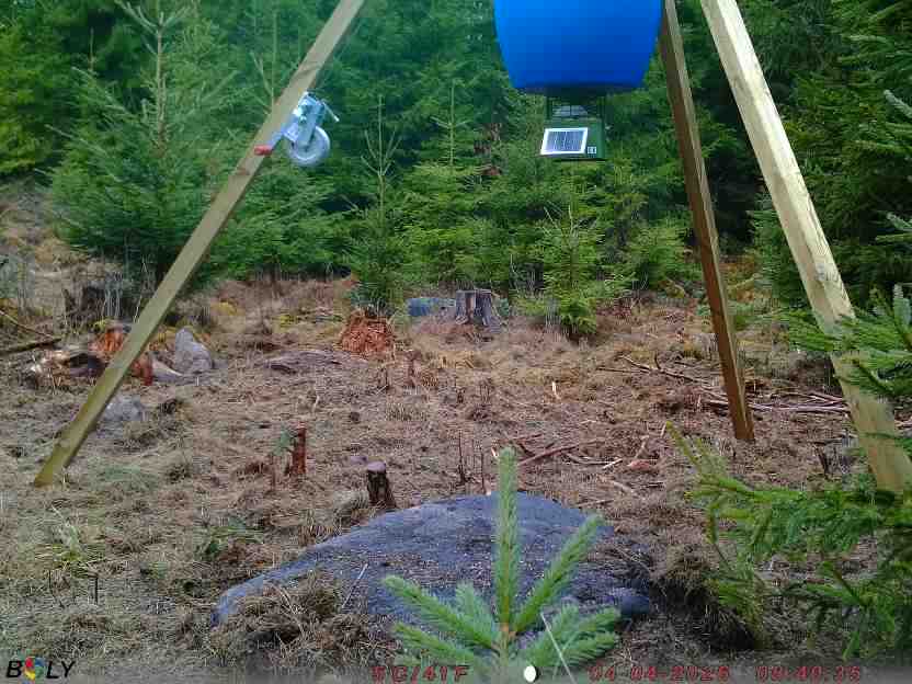 Bild från STORATRÄA