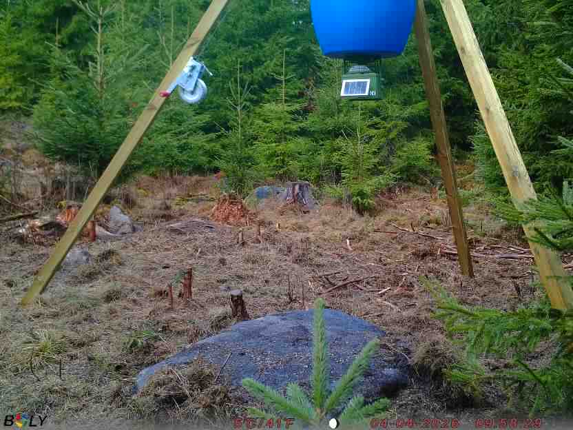 Bild från STORATRÄA