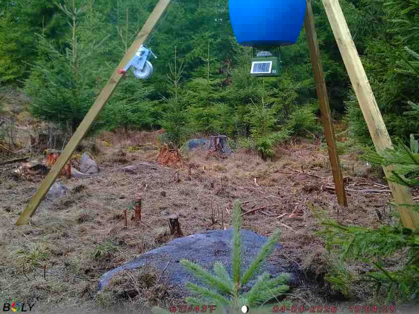 Bild från STORATRÄA