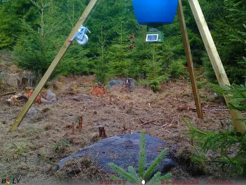 Bild från STORATRÄA