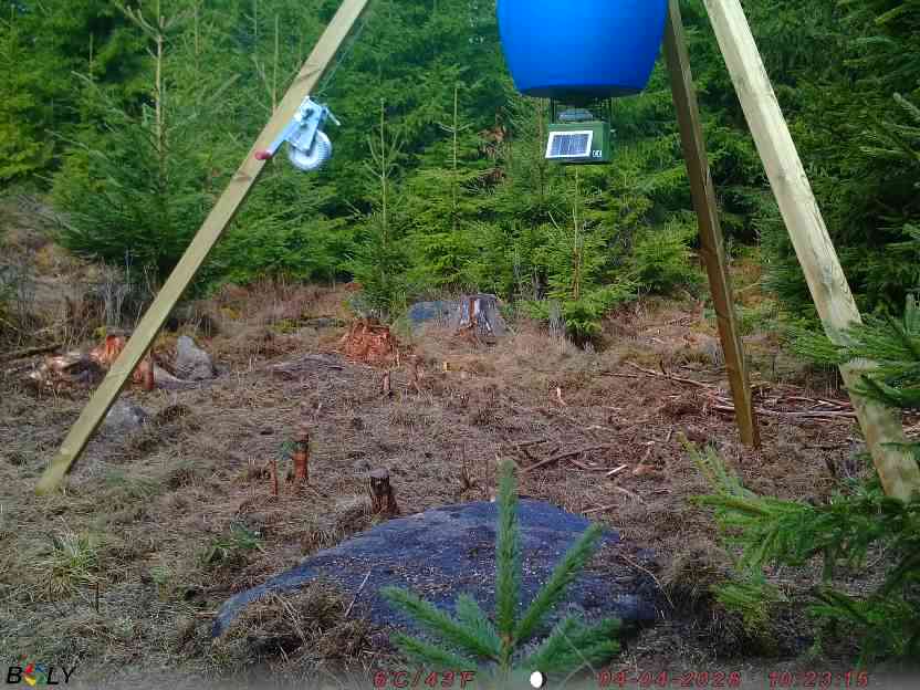 Bild från STORATRÄA