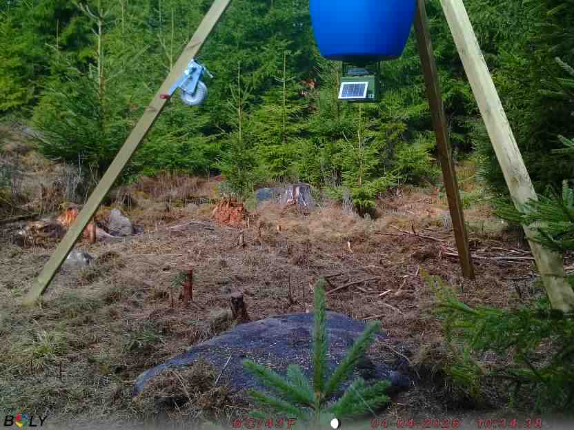 Bild från STORATRÄA