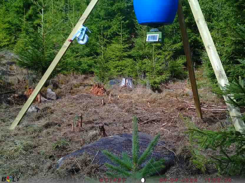 Bild från STORATRÄA