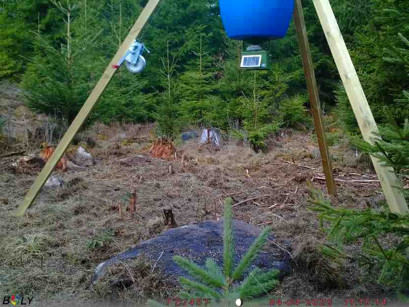 Bild från STORATRÄA