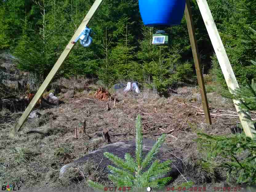 Bild från STORATRÄA