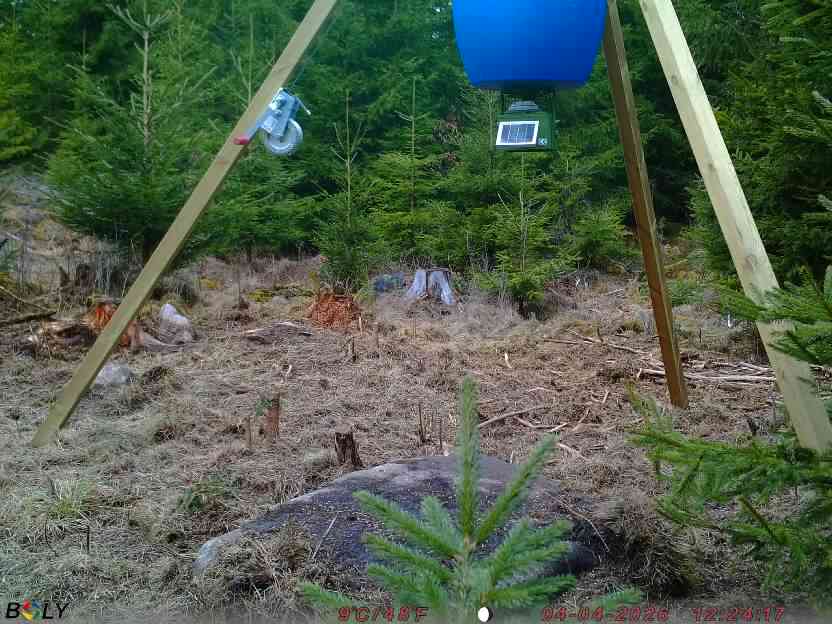 Bild från STORATRÄA