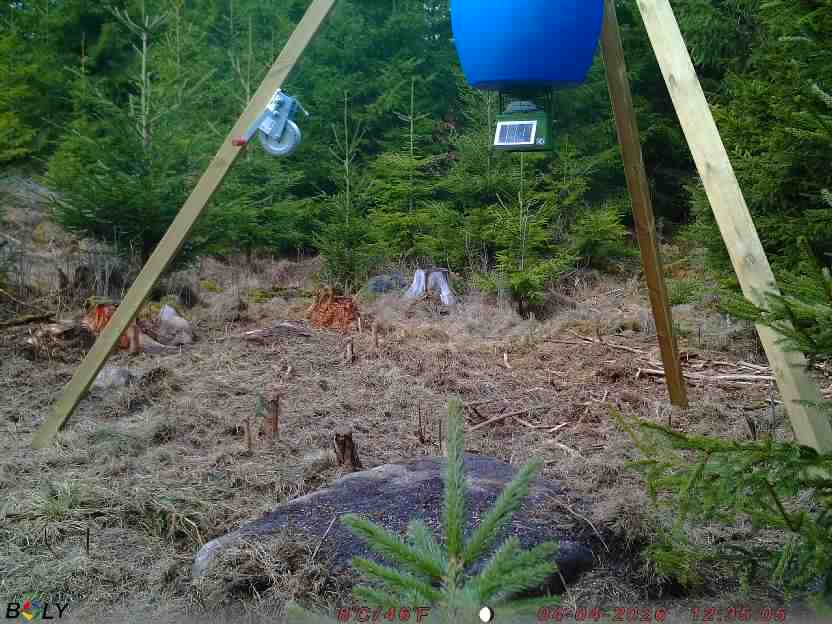 Bild från STORATRÄA